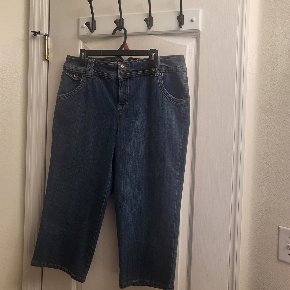 Style & Co. Dark Blue Ankle/capri Jeans